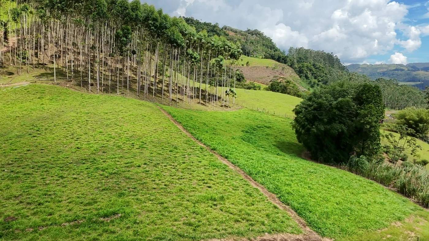 Sítio, 6 quartos, 8 hectares - Foto 48