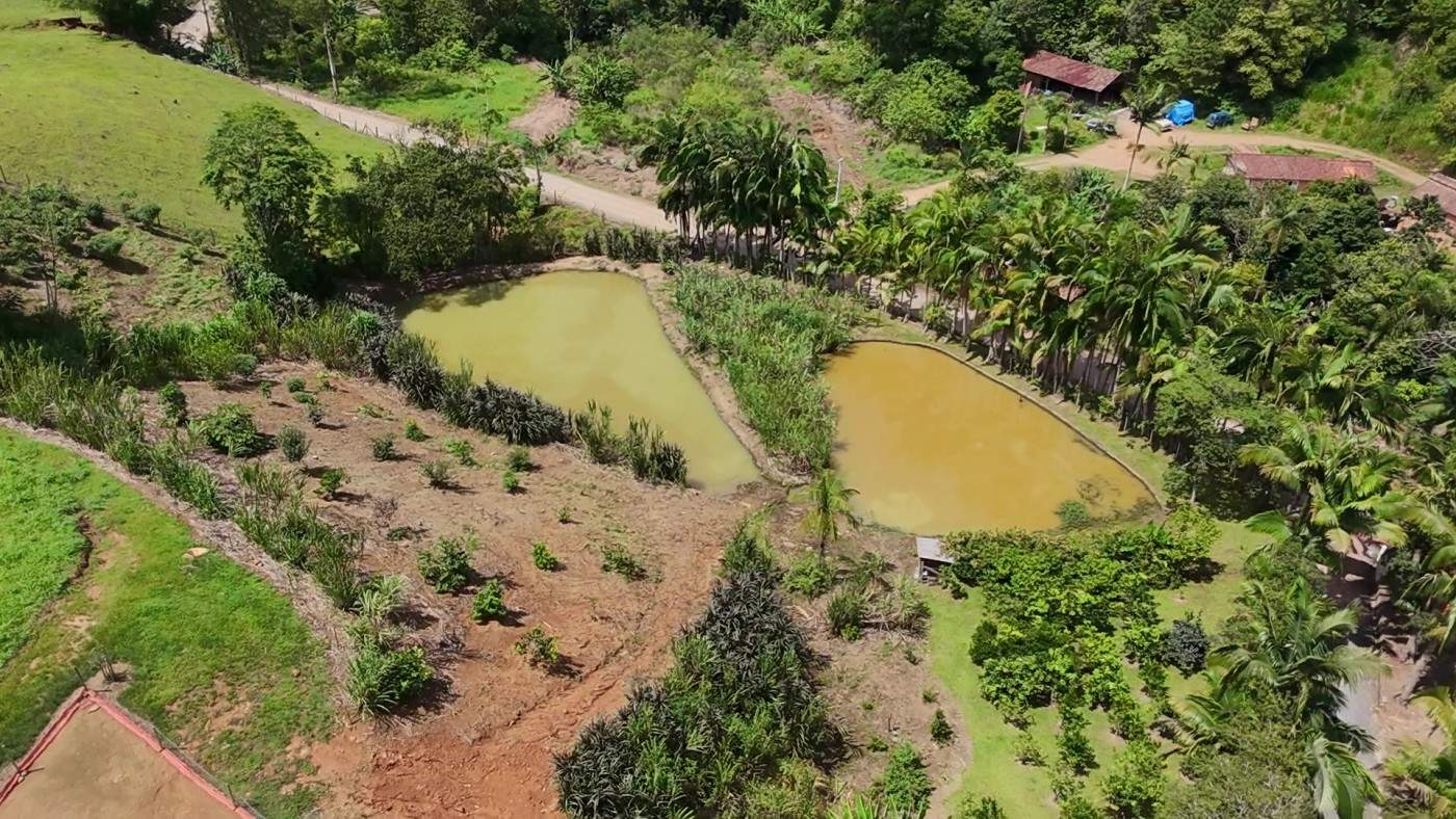 Sítio, 6 quartos, 8 hectares - Foto 50