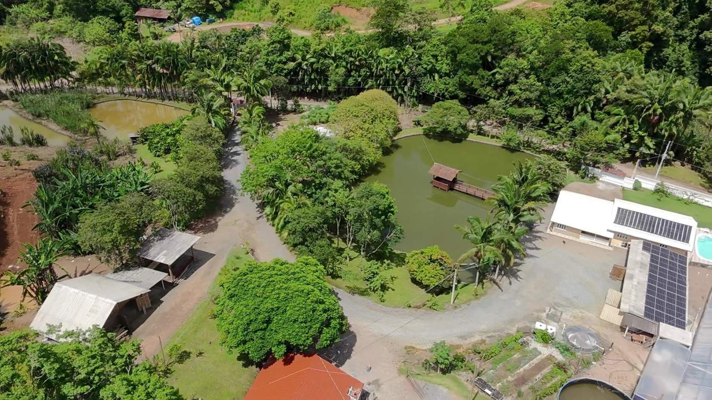 Sítio, 6 quartos, 8 hectares - Foto 8