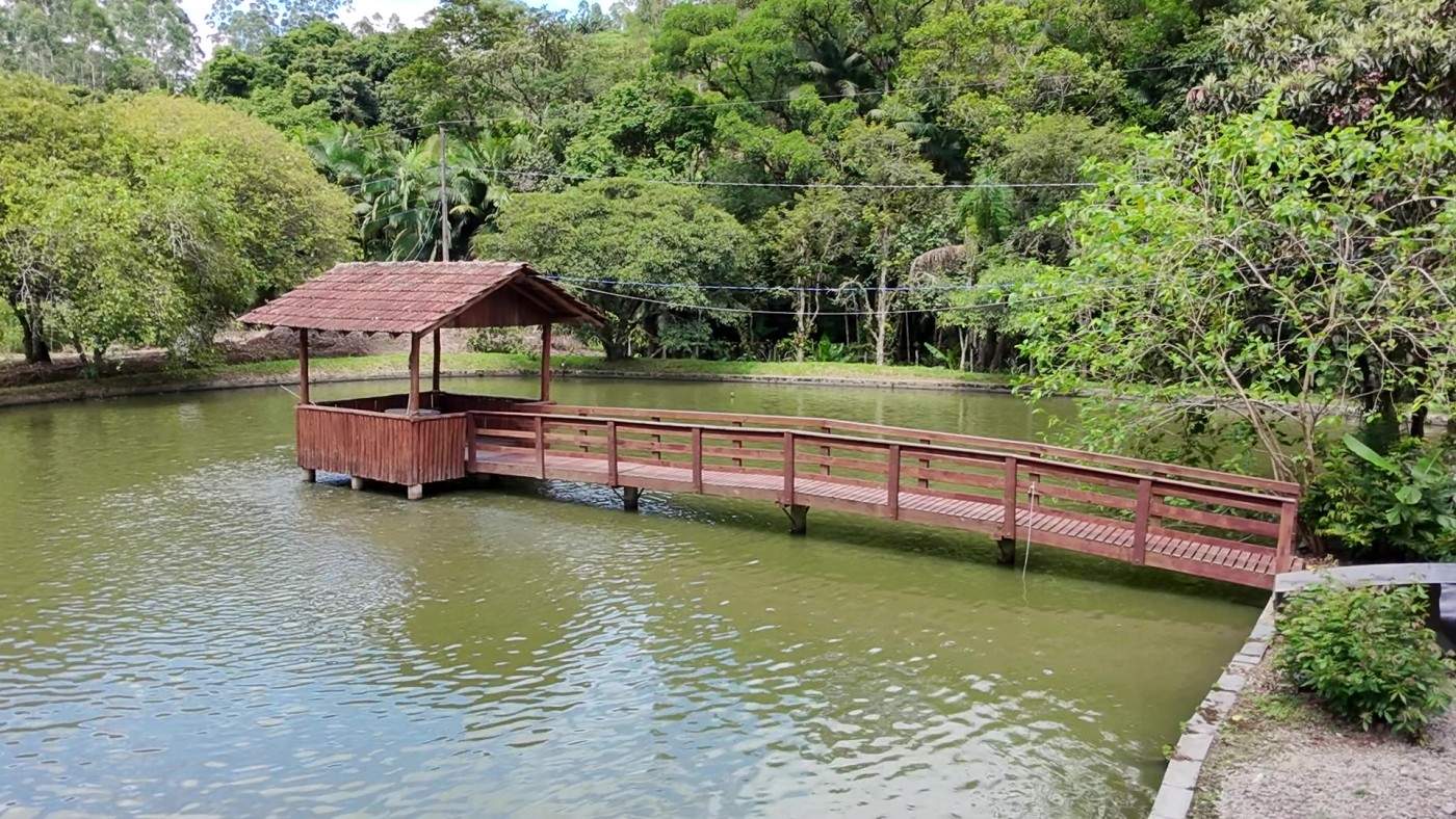 Sítio, 6 quartos, 8 hectares - Foto 43