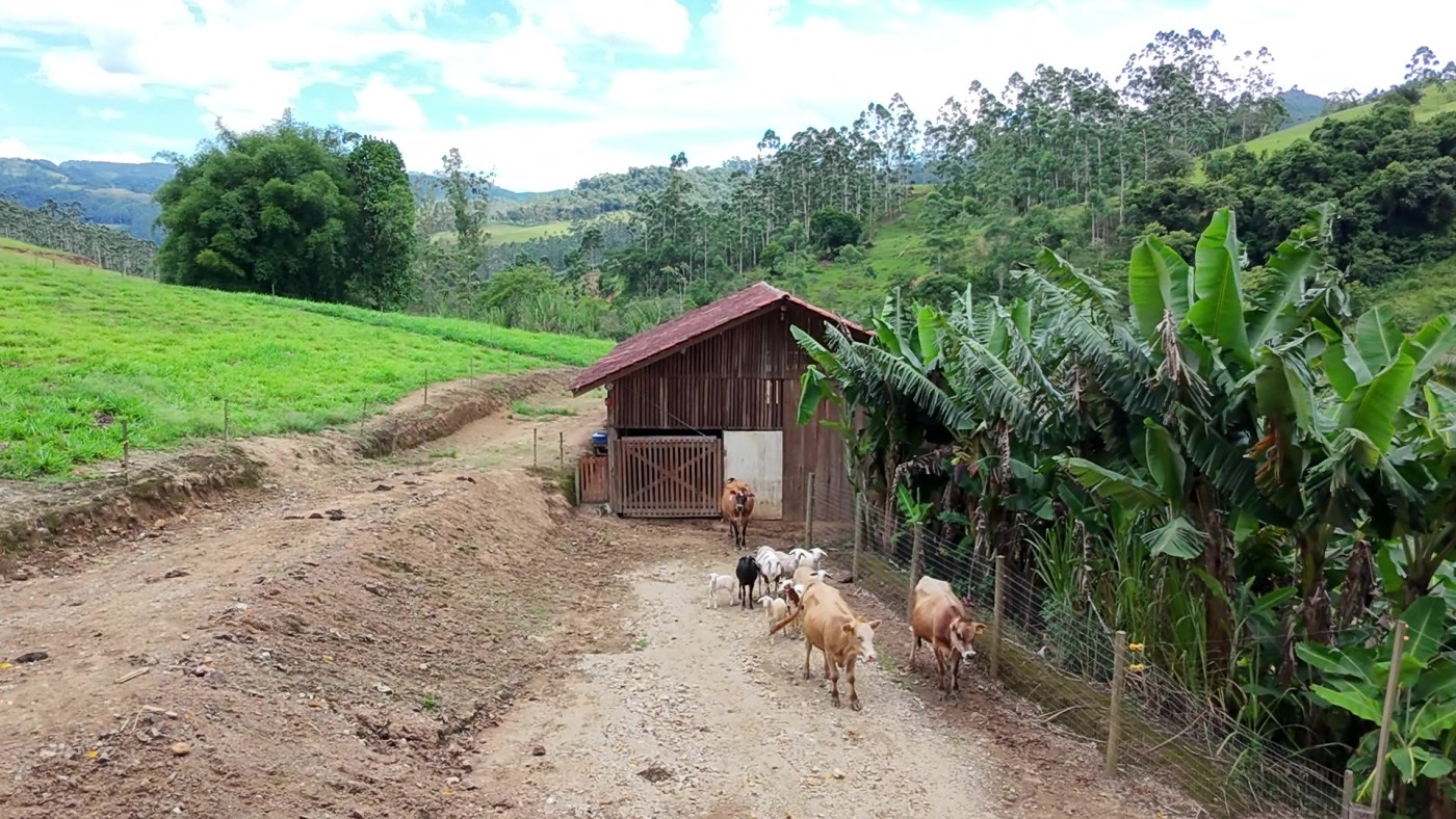 Sítio, 6 quartos, 8 hectares - Foto 36