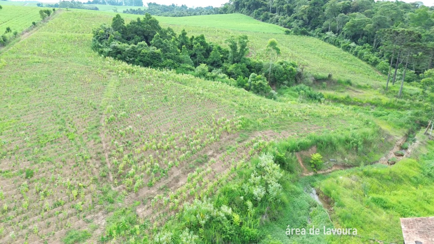 Fazenda, 8 hectares - Foto 31