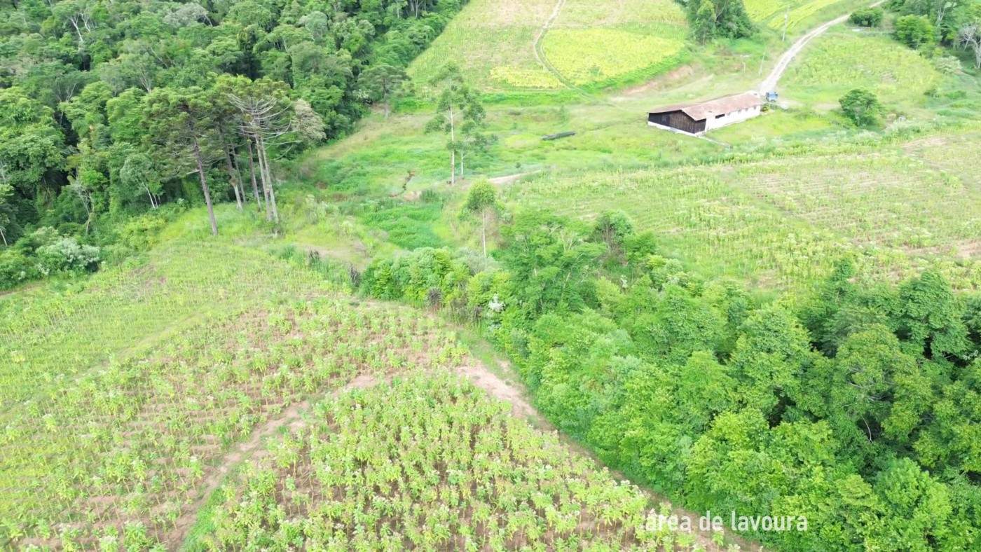Fazenda, 8 hectares - Foto 32