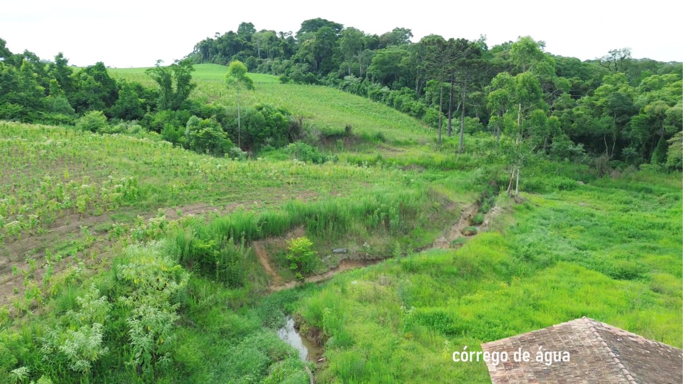 Fazenda, 8 hectares - Foto 33