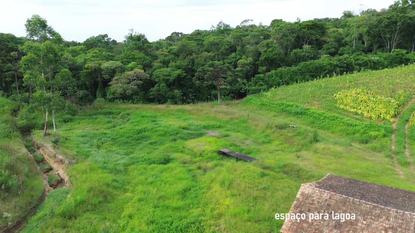 Fazenda, 8 hectares - Foto 34