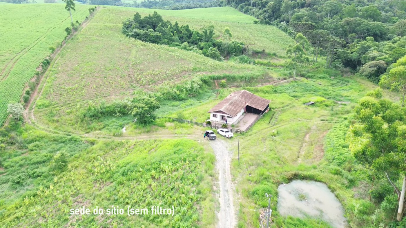 Fazenda, 8 hectares - Foto 35