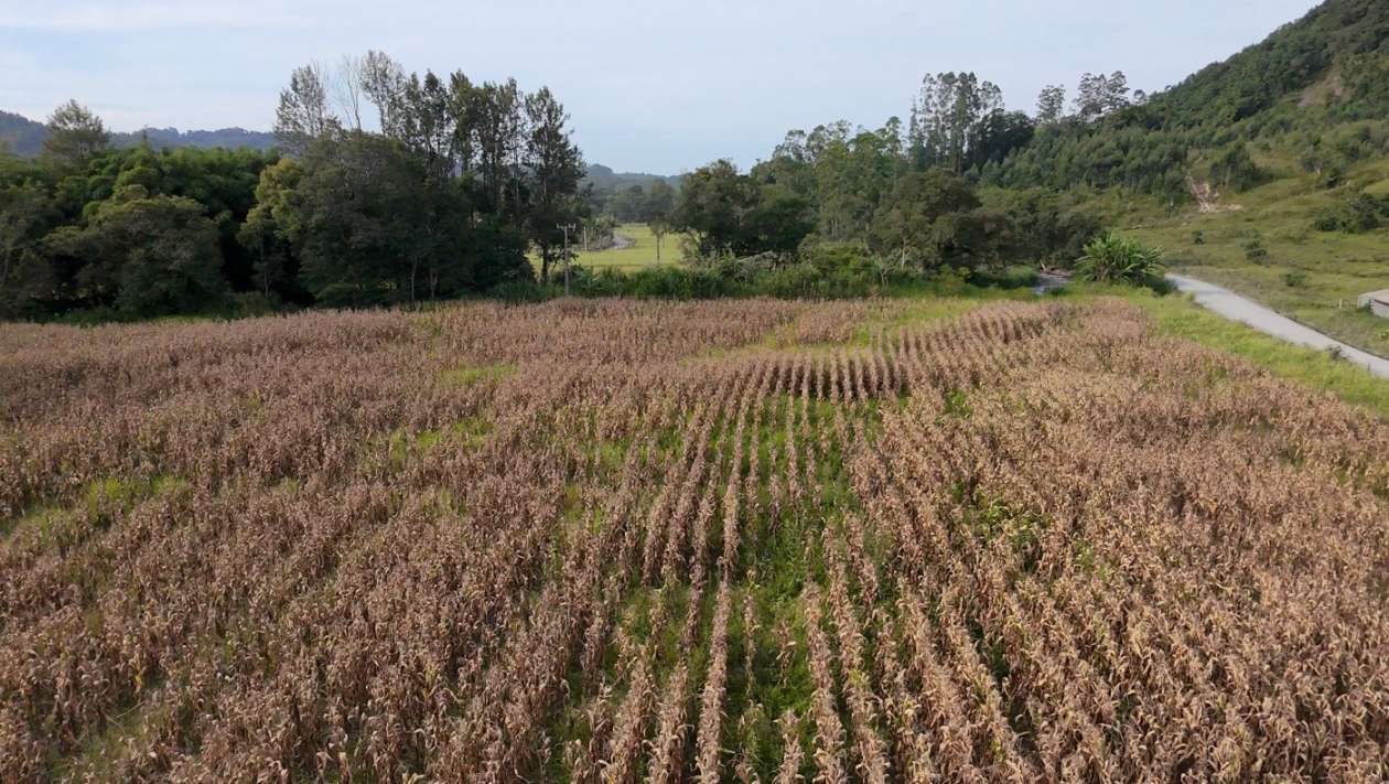 Fazenda, 2 hectares - Foto 31