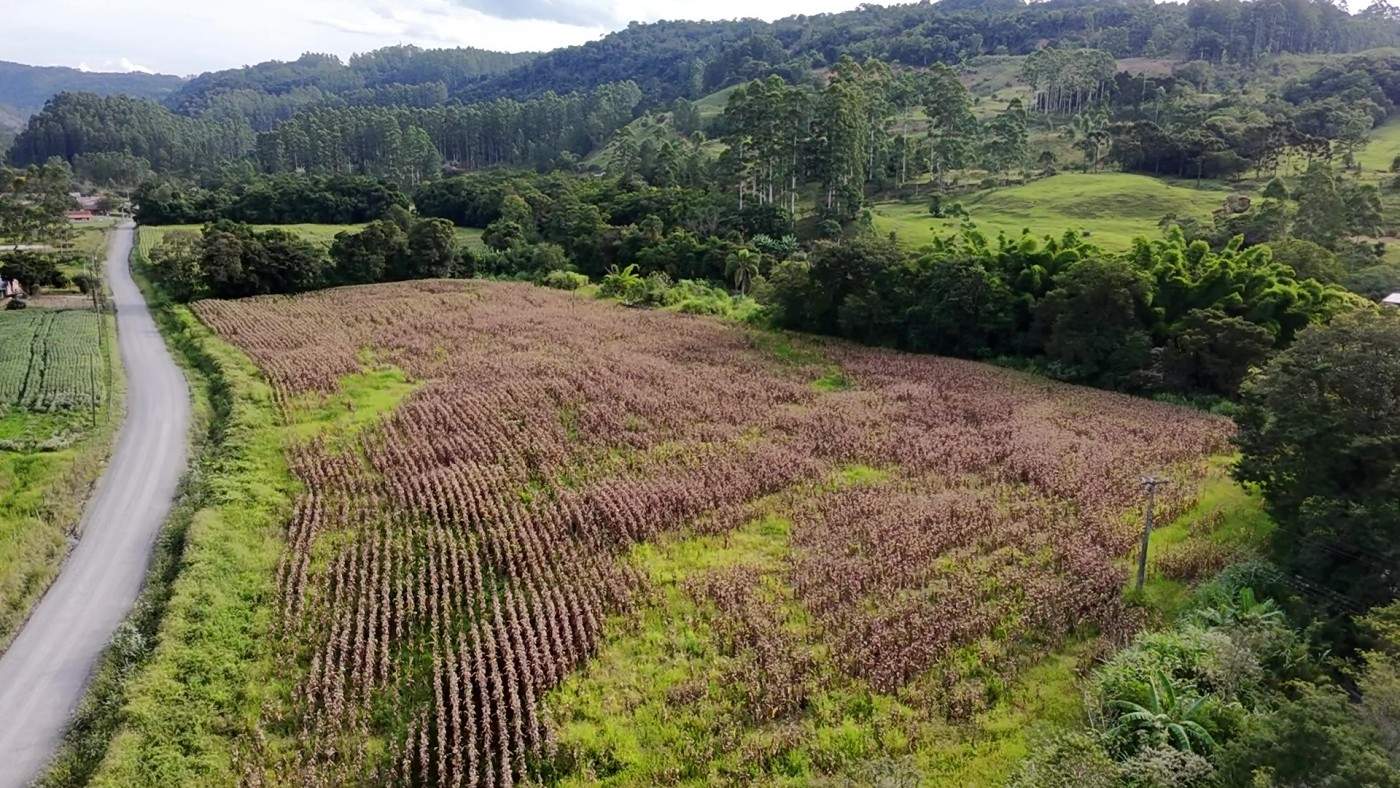 Fazenda, 2 hectares - Foto 36