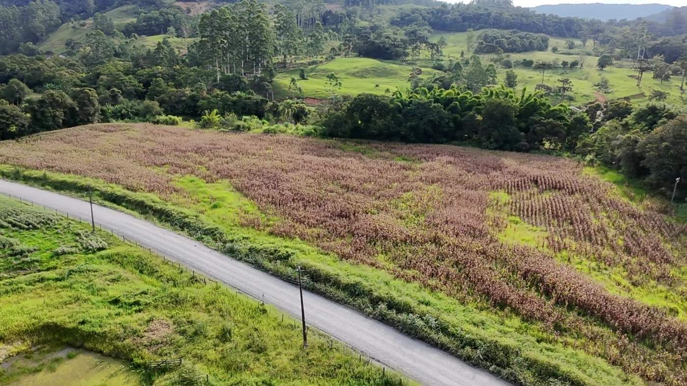 Fazenda, 2 hectares - Foto 37