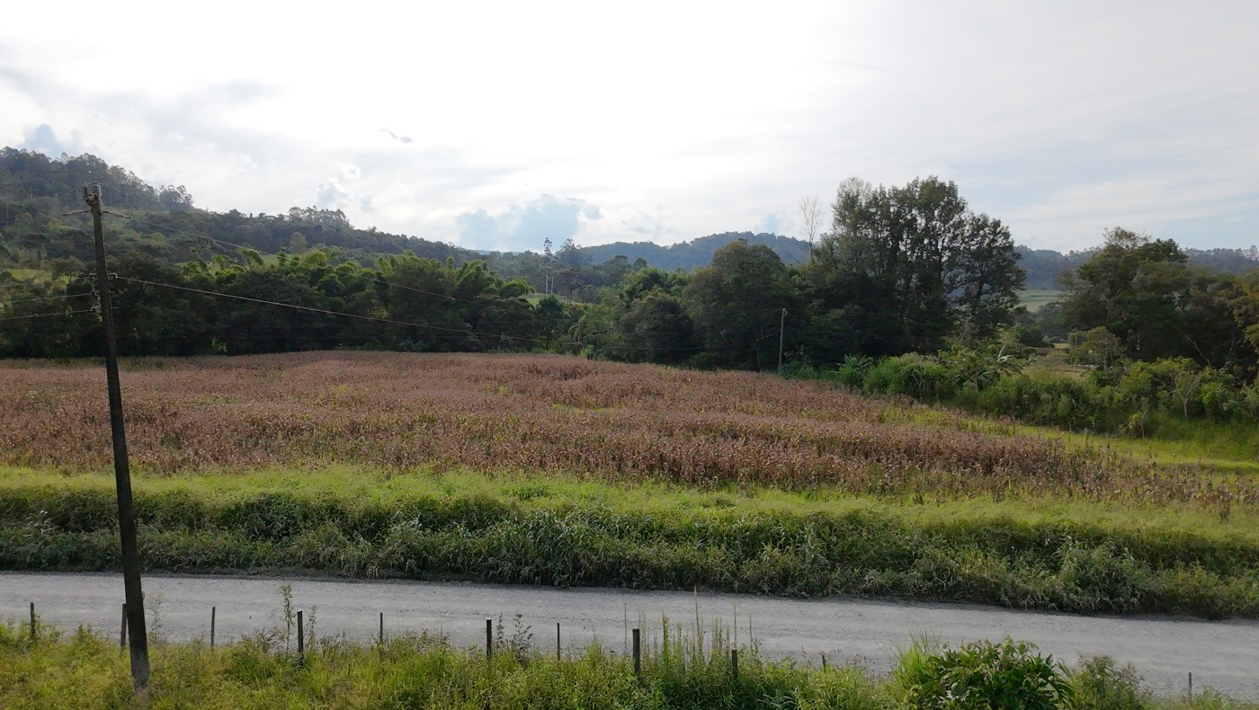 Fazenda, 2 hectares - Foto 39