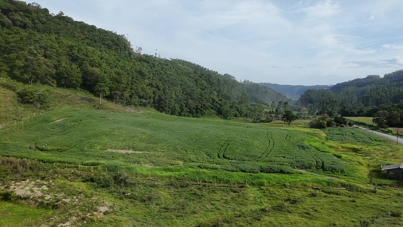 Fazenda, 9 hectares - Foto 4