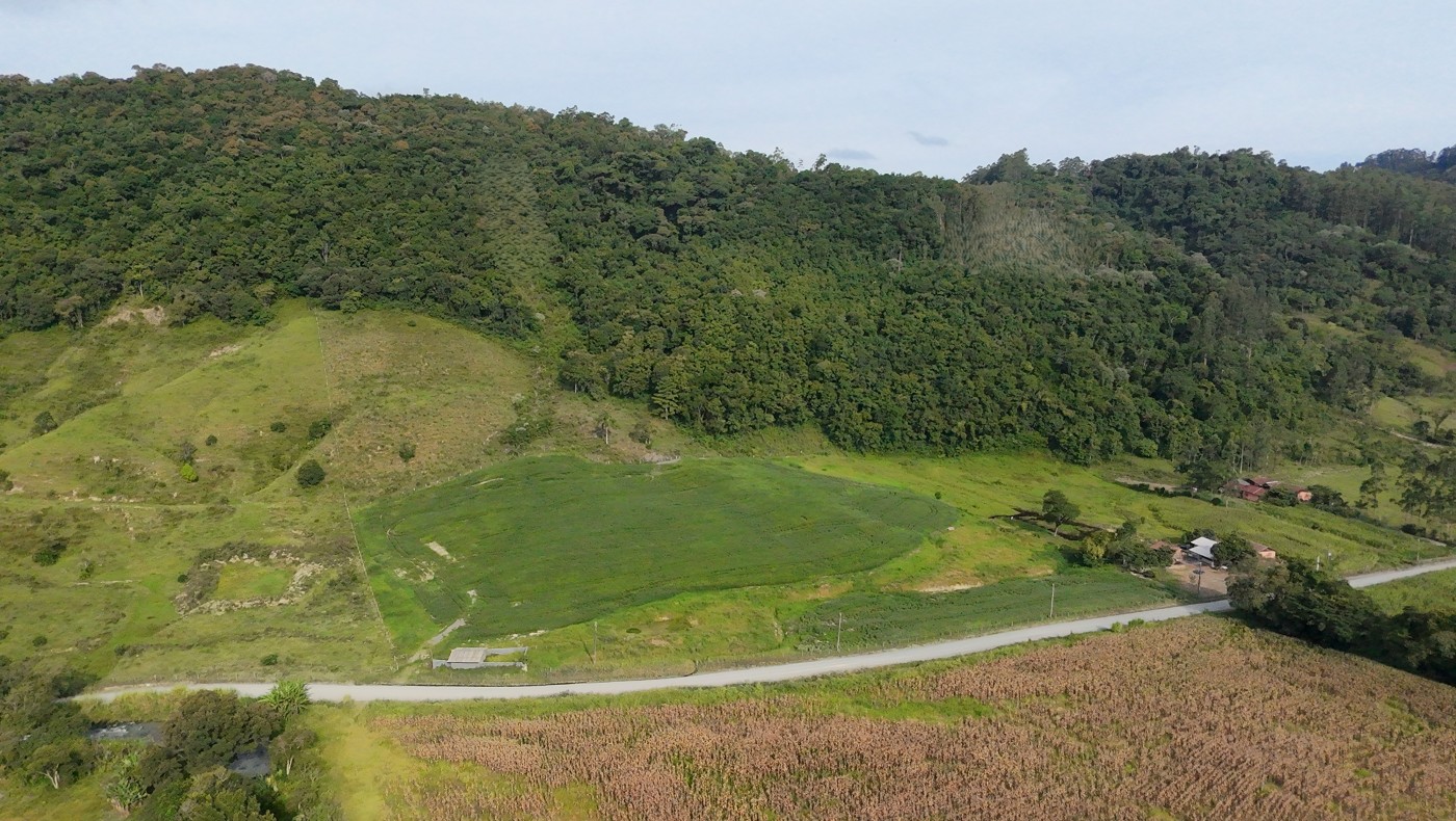 Fazenda, 9 hectares - Foto 11