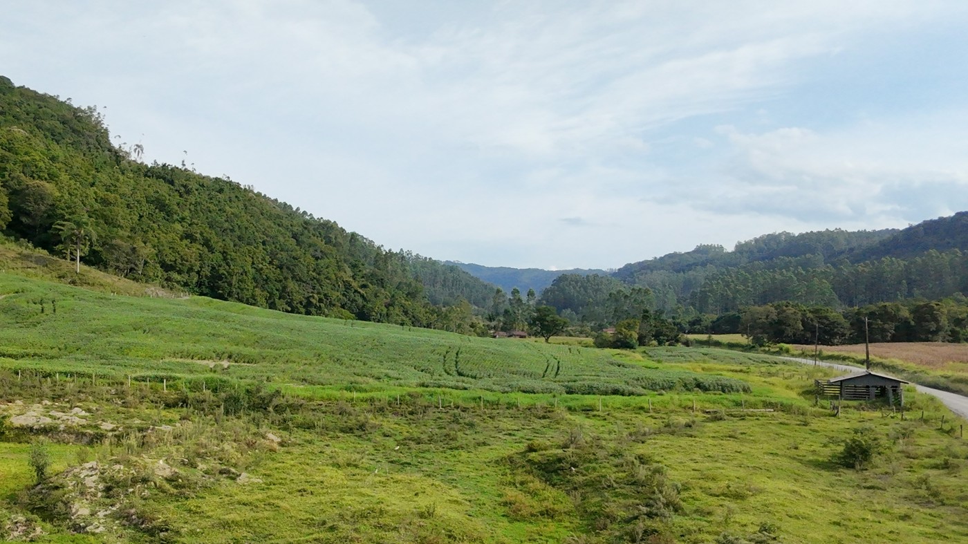 Fazenda, 9 hectares - Foto 12