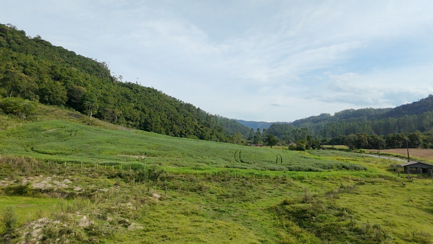 Fazenda, 9 hectares - Foto 13