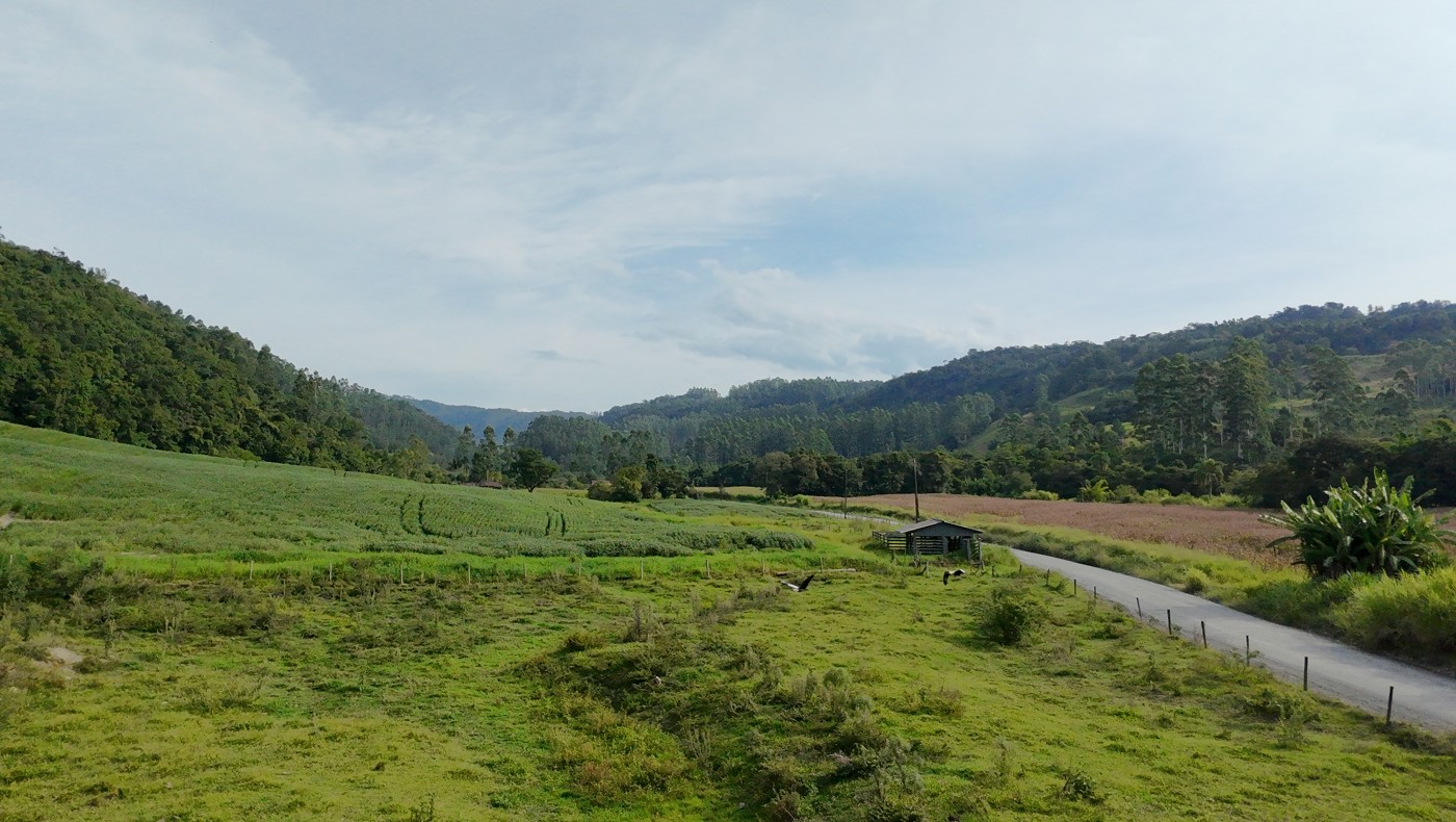 Fazenda, 9 hectares - Foto 14