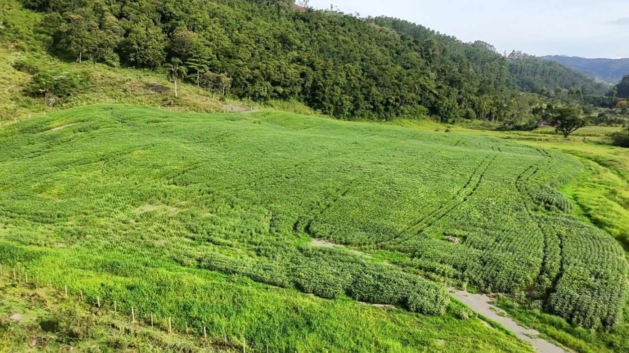 Fazenda, 9 hectares - Foto 16