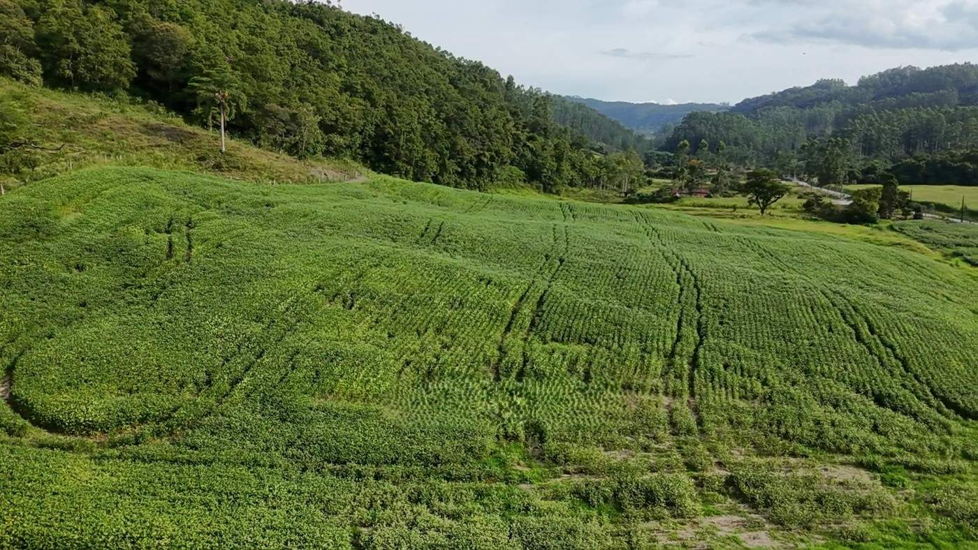 Fazenda, 9 hectares - Foto 18