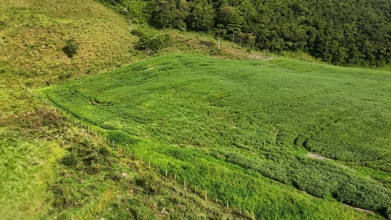 Fazenda, 9 hectares - Foto 17