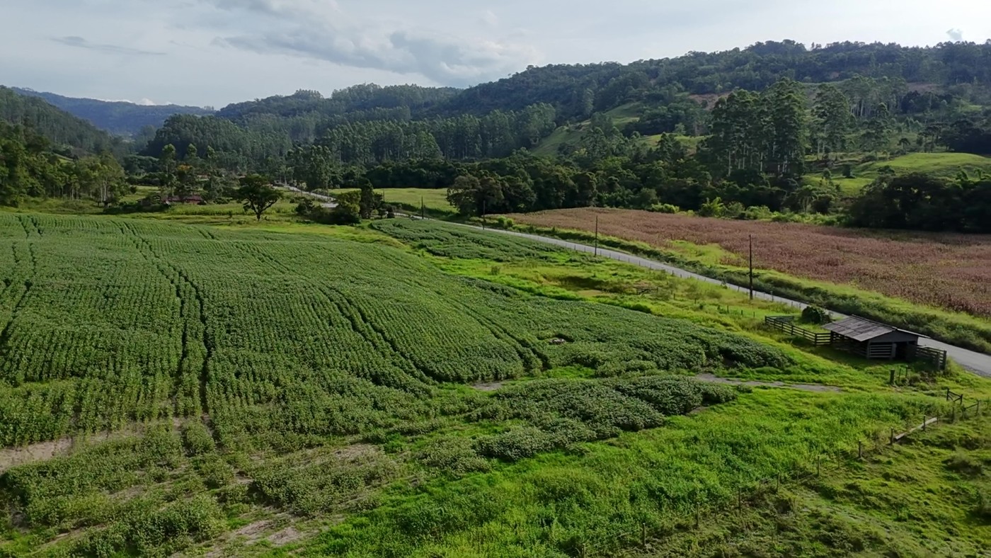 Fazenda, 9 hectares - Foto 19