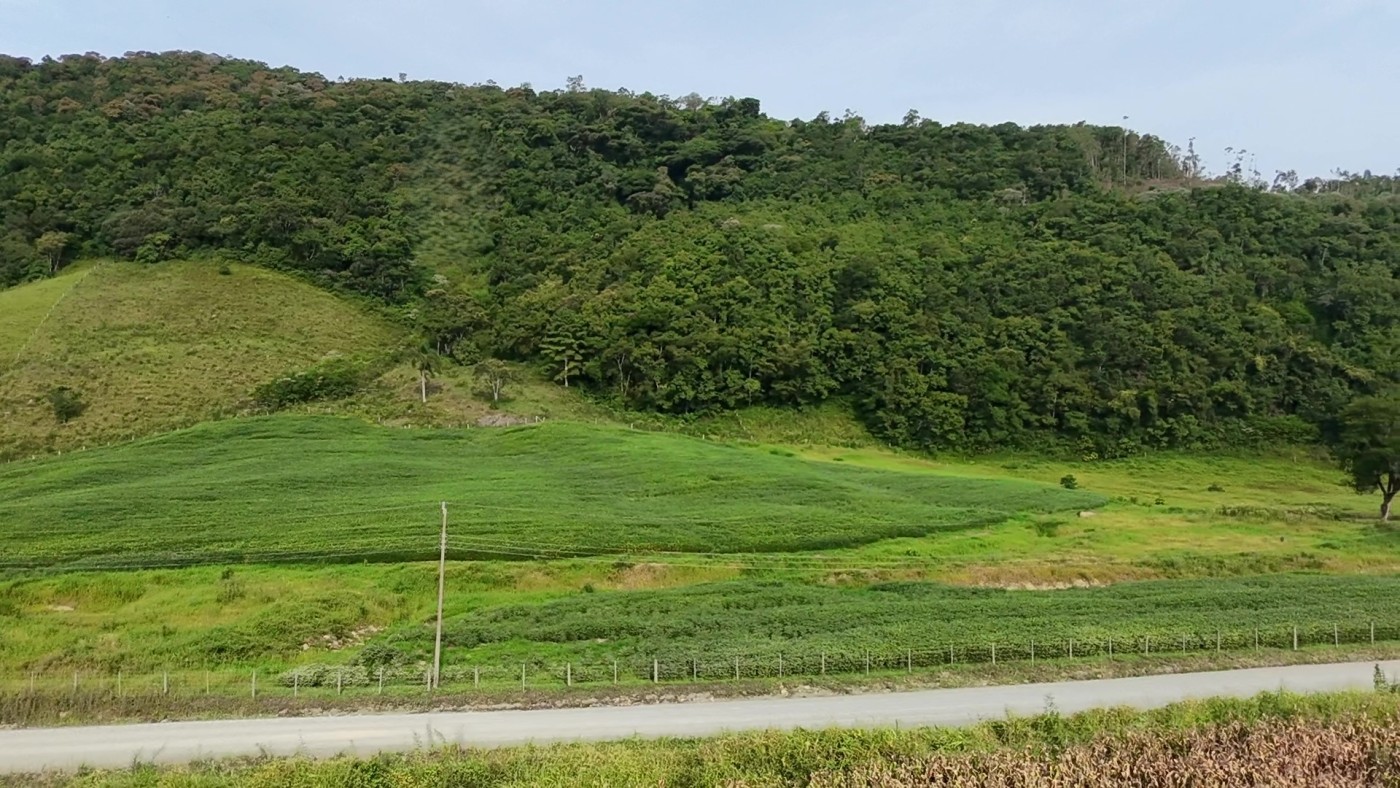 Fazenda, 9 hectares - Foto 21