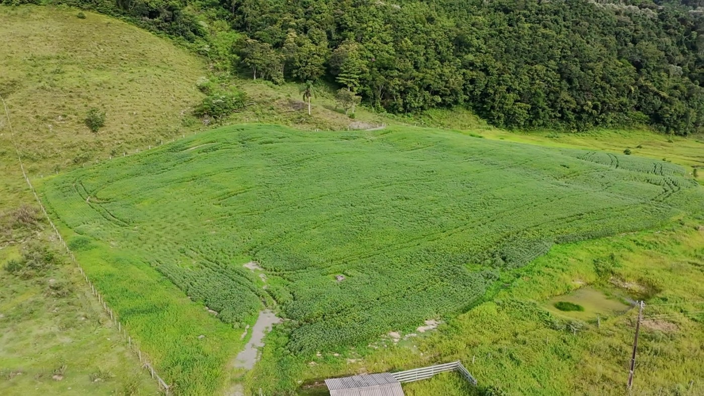 Fazenda, 9 hectares - Foto 23