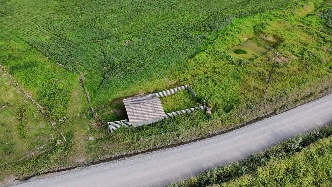 Fazenda, 9 hectares - Foto 24
