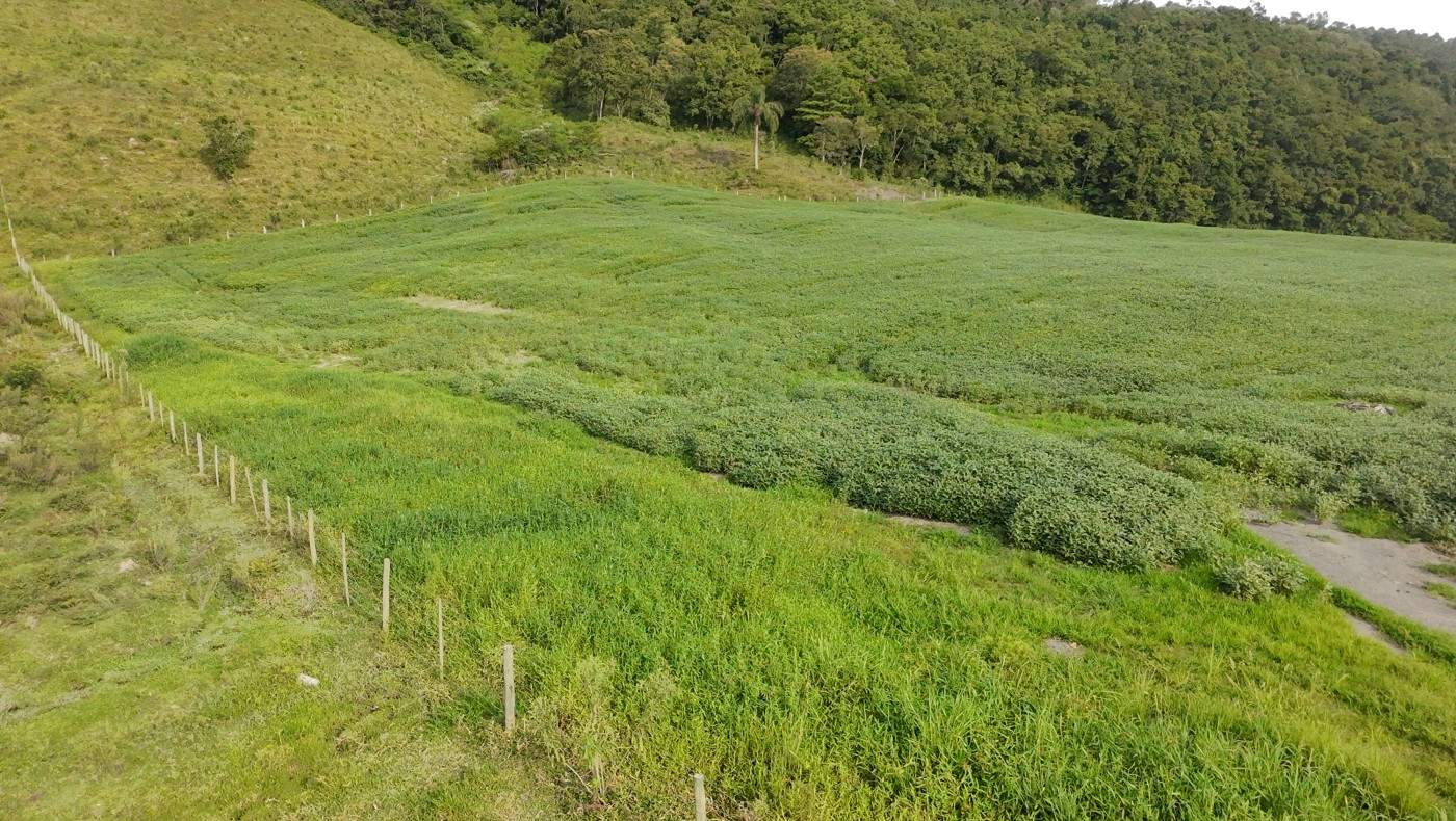 Fazenda, 9 hectares - Foto 27