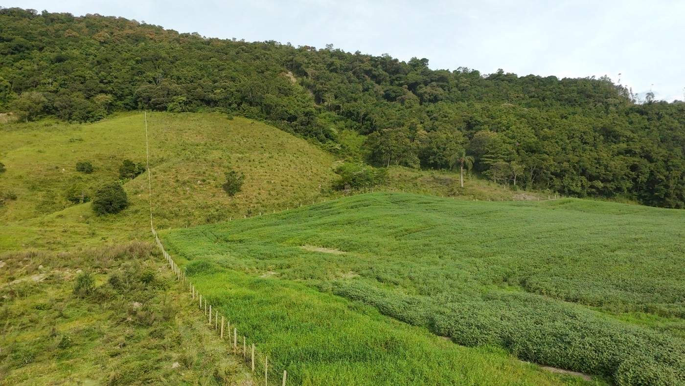 Fazenda, 9 hectares - Foto 28