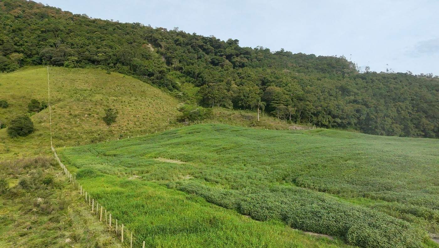 Fazenda, 9 hectares - Foto 29
