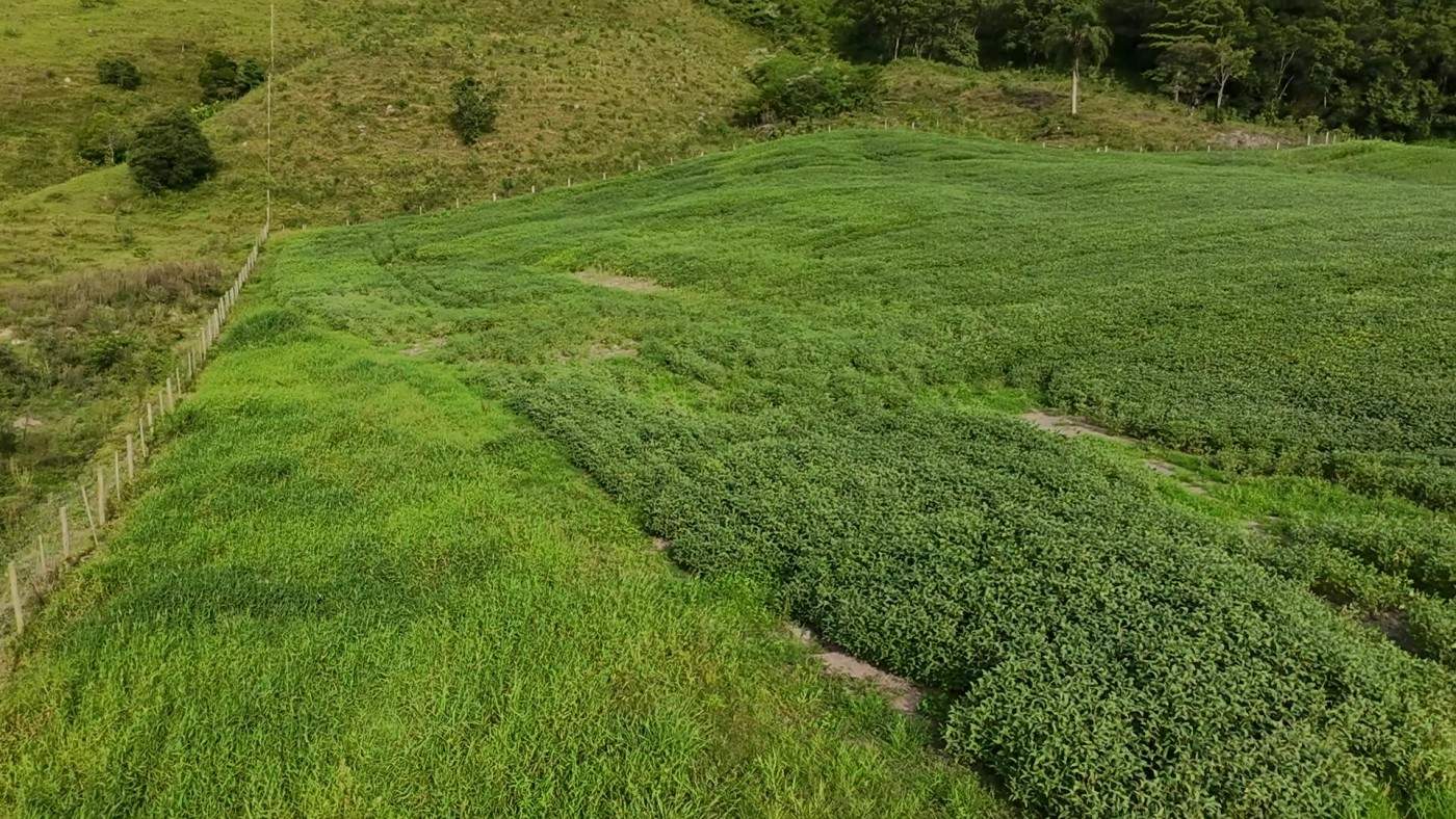 Fazenda, 9 hectares - Foto 31