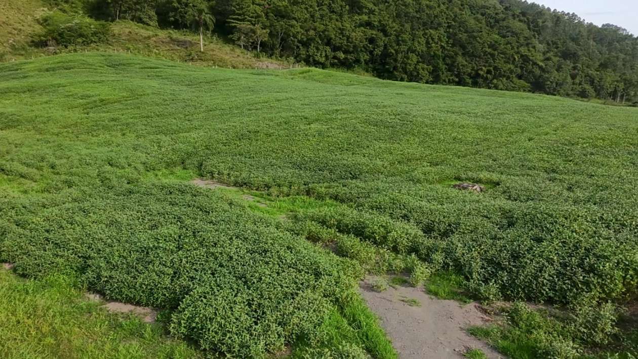 Fazenda, 9 hectares - Foto 32