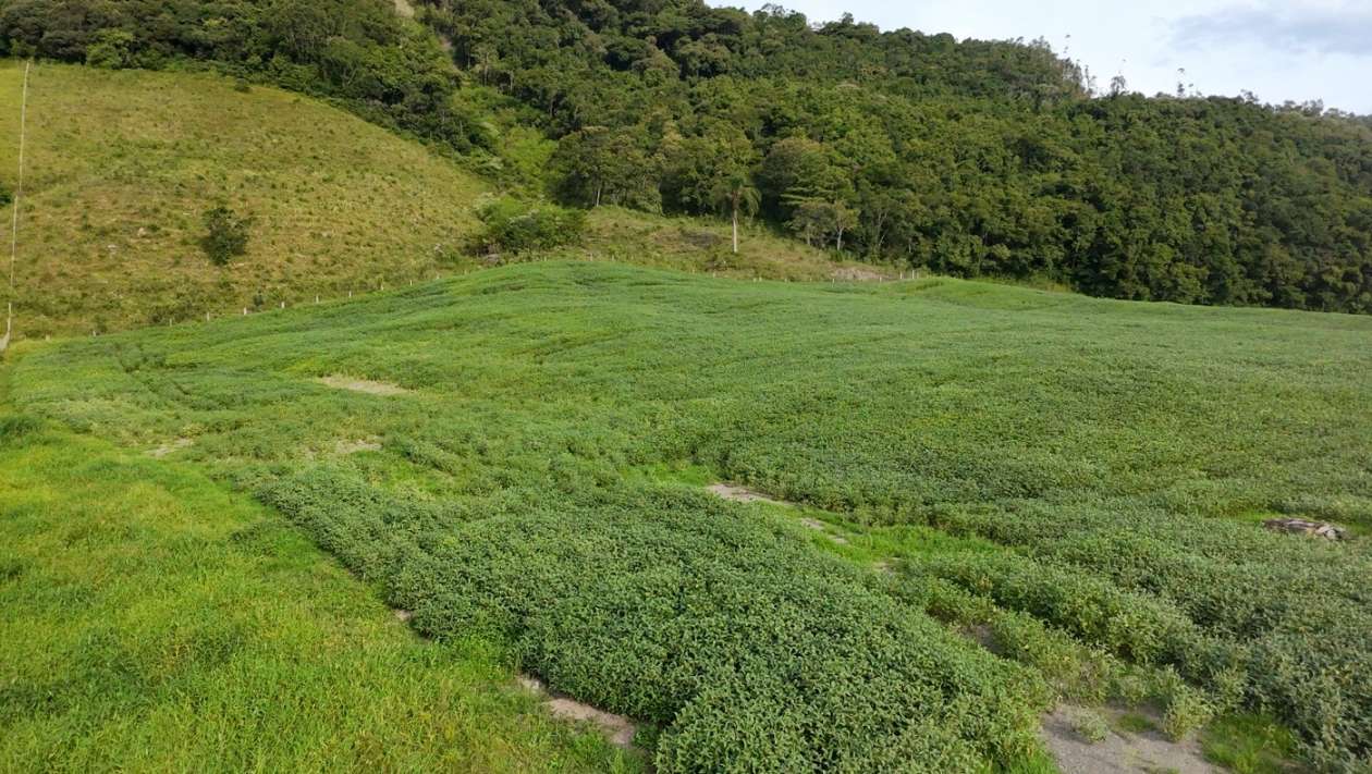 Fazenda, 9 hectares - Foto 35