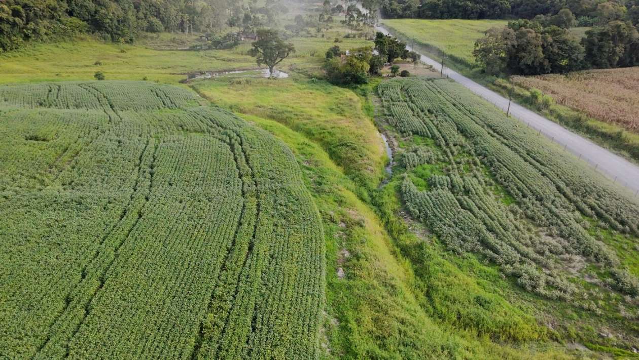 Fazenda, 9 hectares - Foto 39
