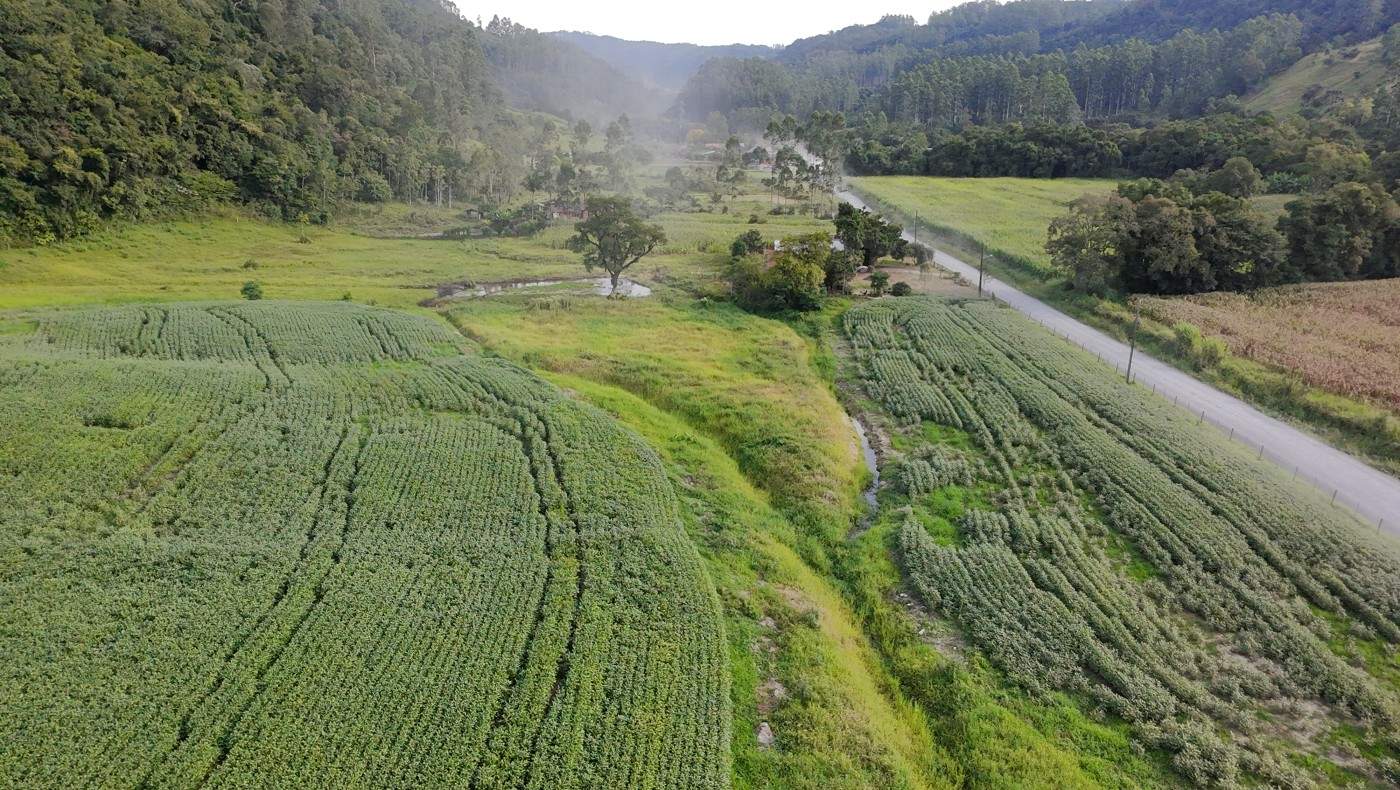 Fazenda, 9 hectares - Foto 40