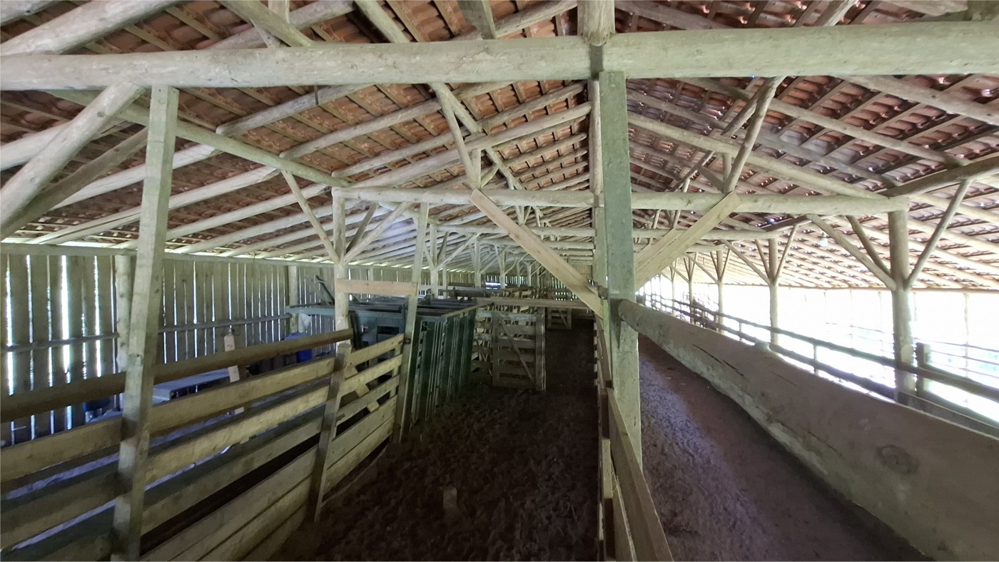 Fazenda, 16 hectares - Foto 5