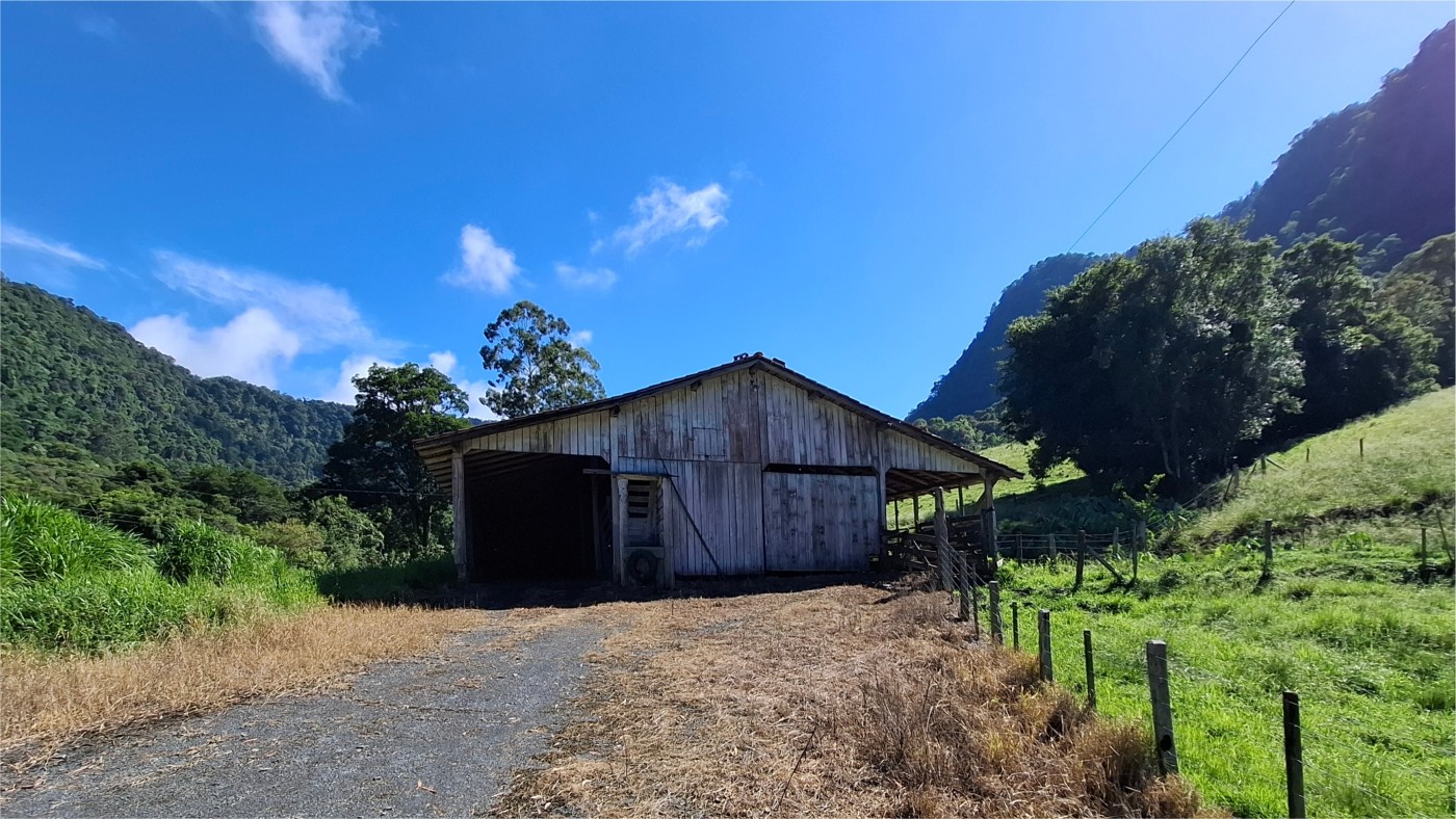 Fazenda, 16 hectares - Foto 3