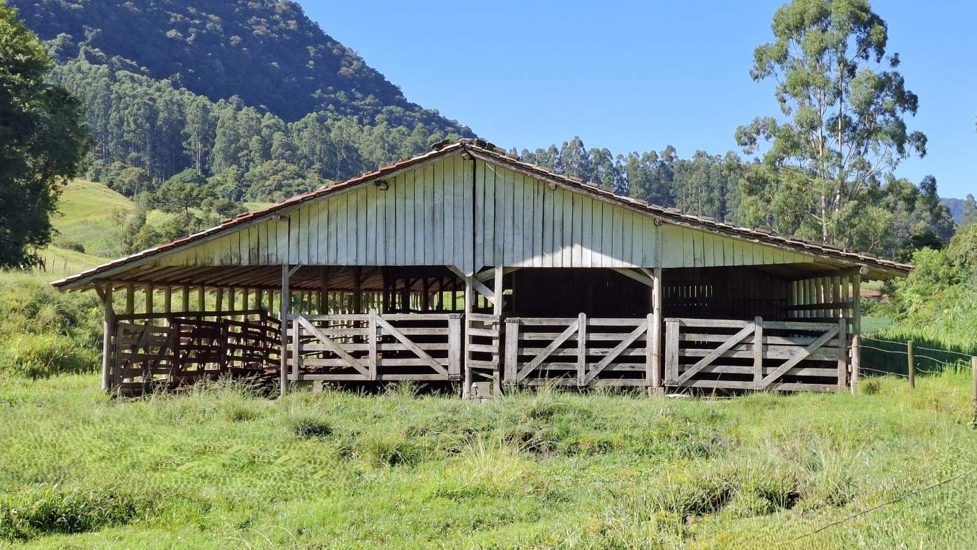 Fazenda, 16 hectares - Foto 4