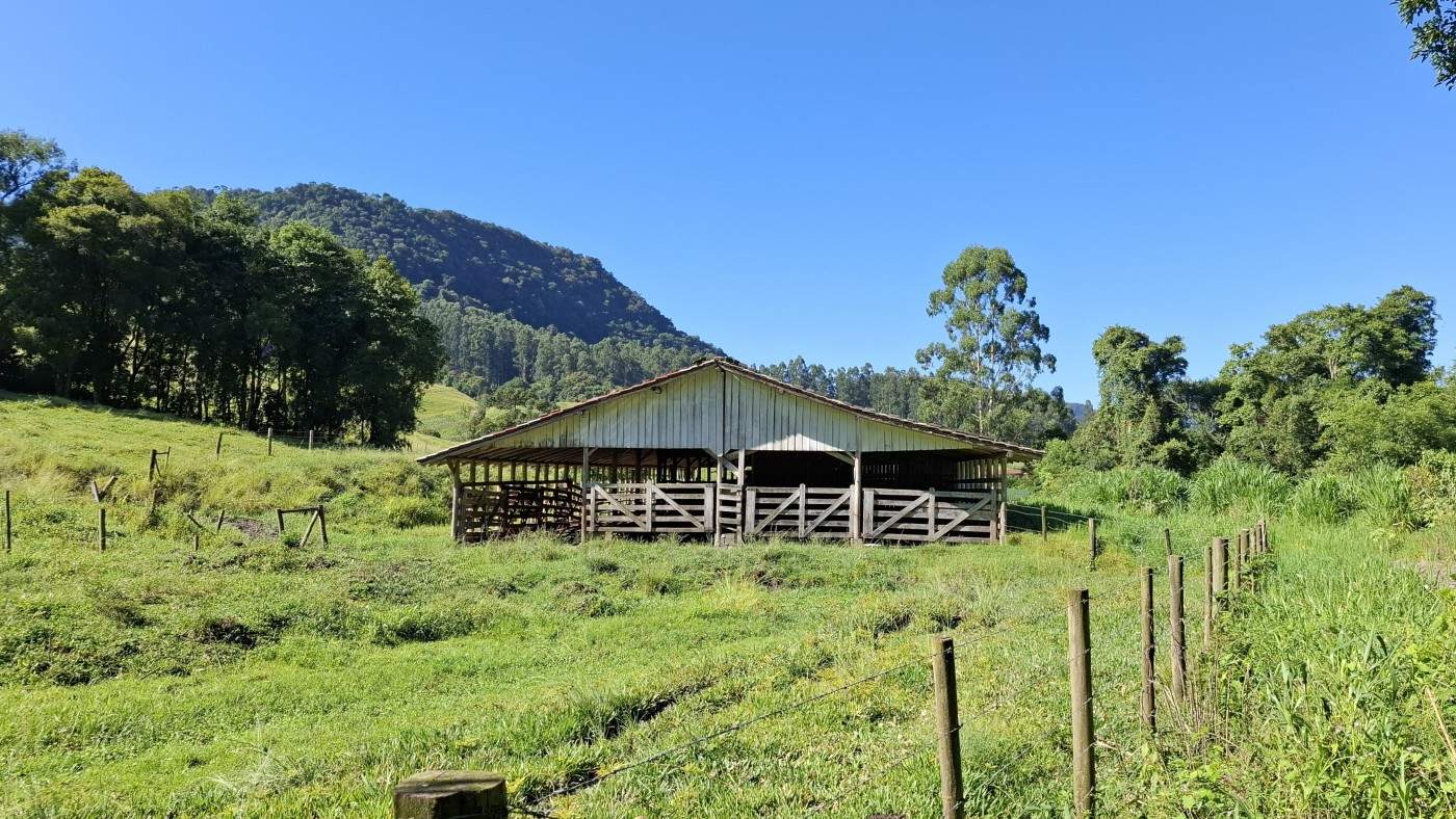 Fazenda, 16 hectares - Foto 19