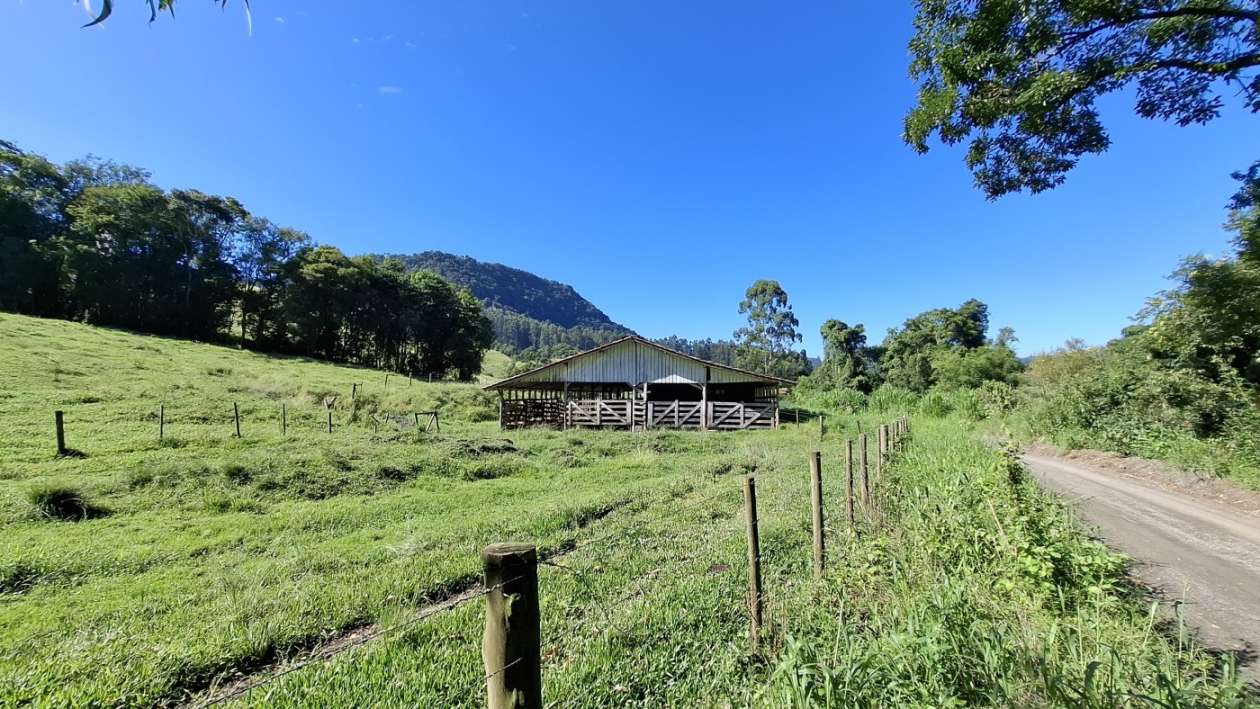 Fazenda, 16 hectares - Foto 20