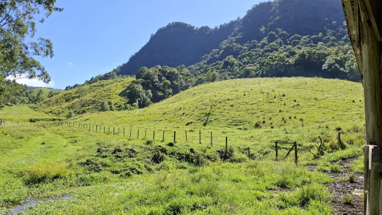 Fazenda, 16 hectares - Foto 22