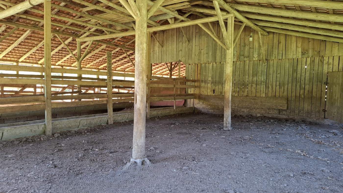 Fazenda, 16 hectares - Foto 6