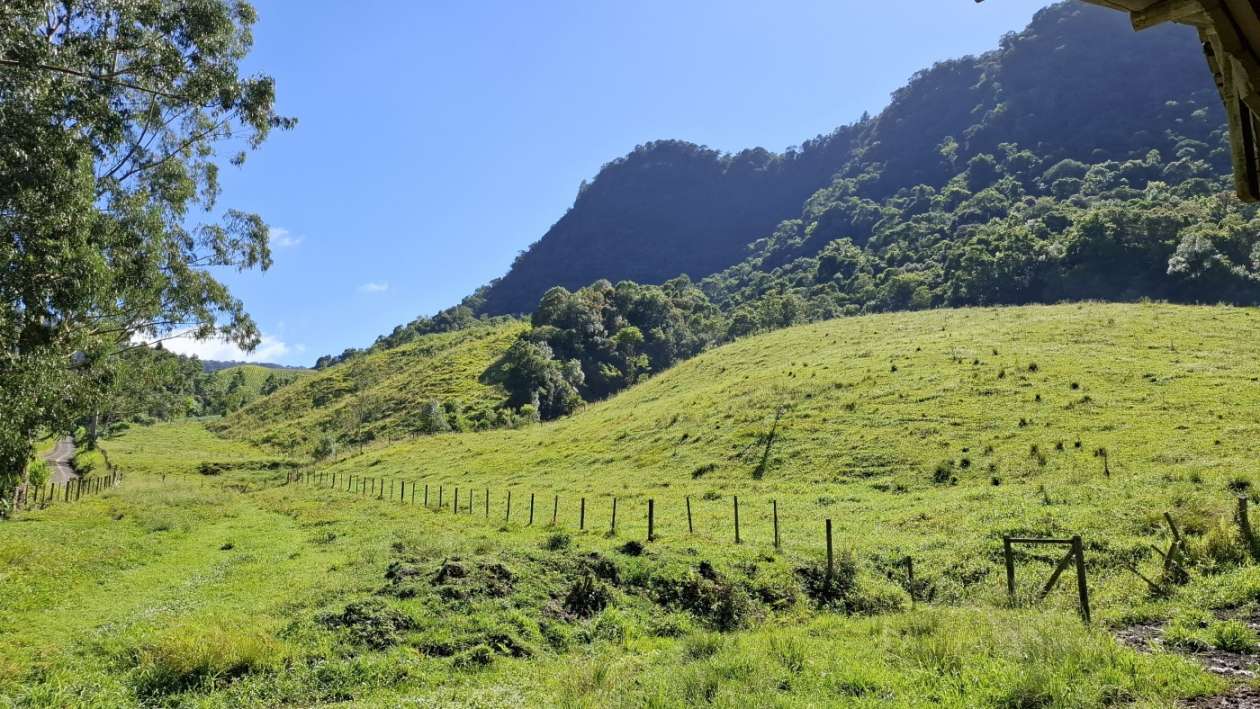 Fazenda, 16 hectares - Foto 24