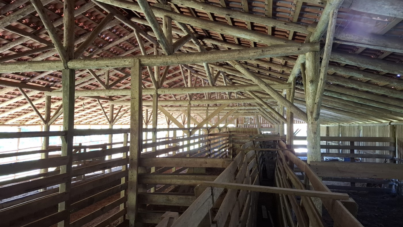 Fazenda, 16 hectares - Foto 7