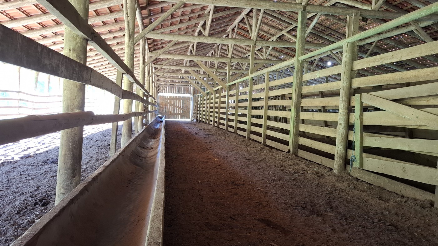 Fazenda, 16 hectares - Foto 8