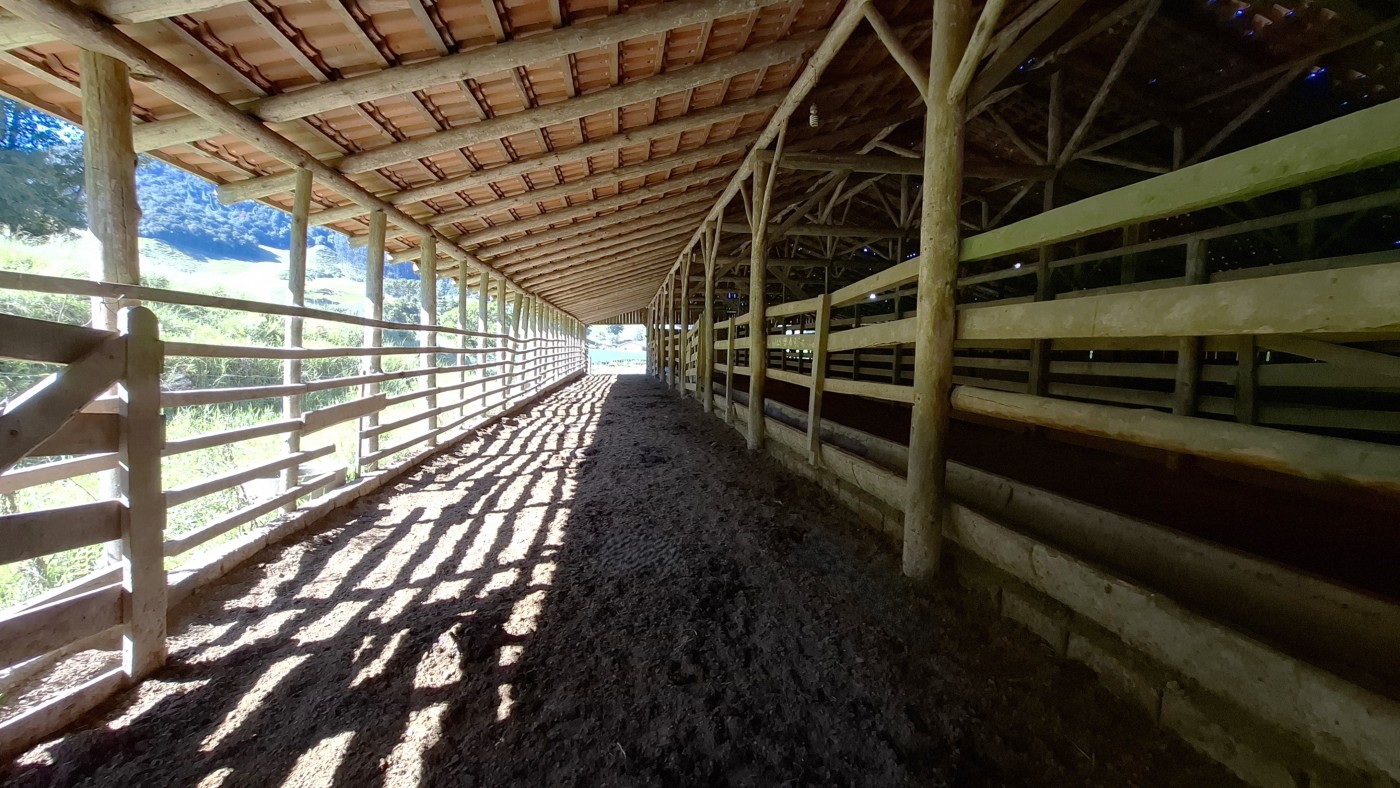 Fazenda, 16 hectares - Foto 10