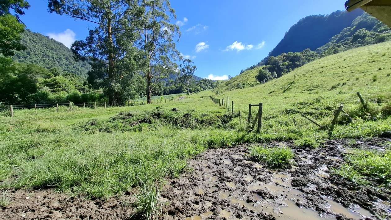 Fazenda, 16 hectares - Foto 25
