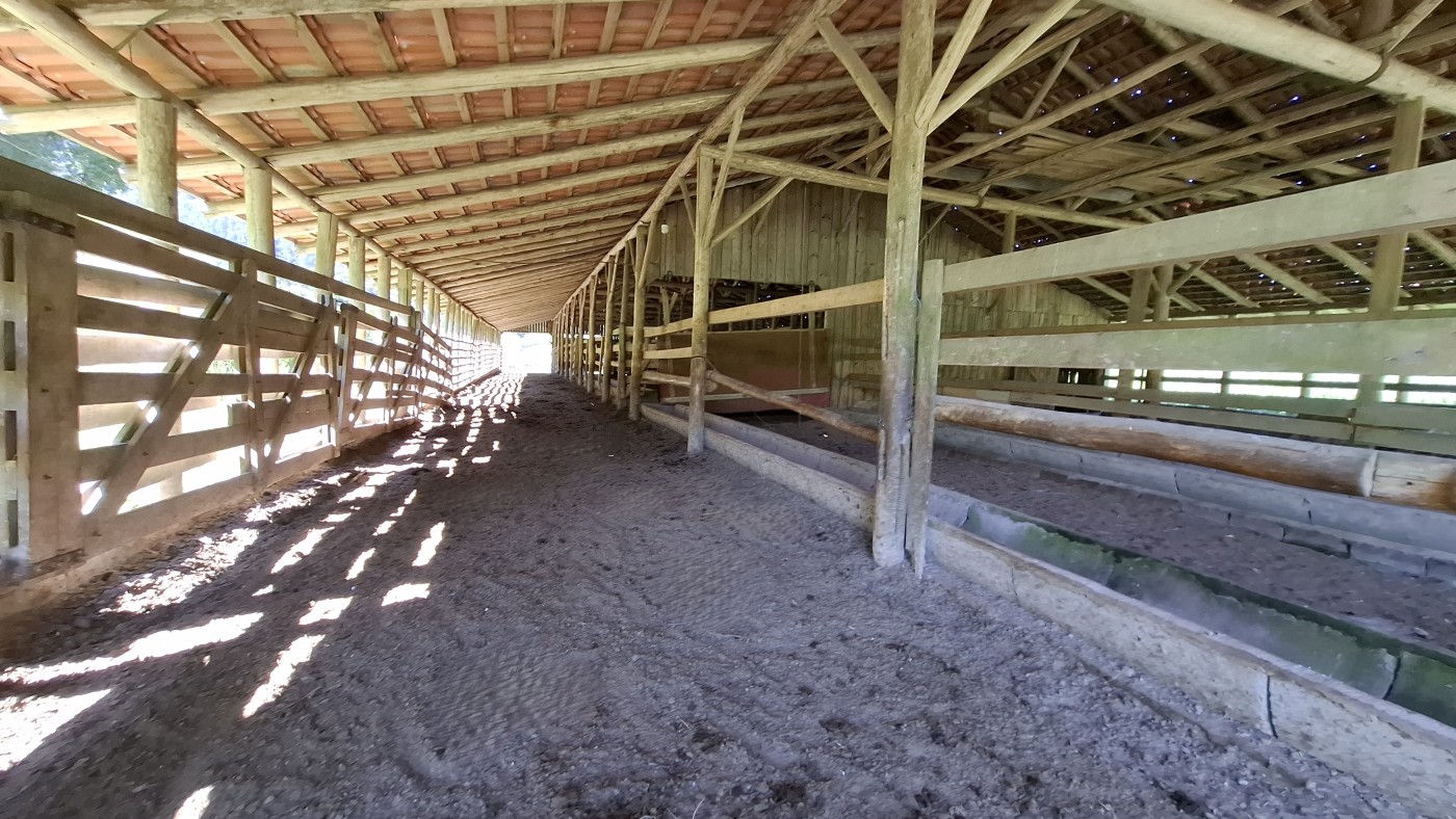 Fazenda, 16 hectares - Foto 9