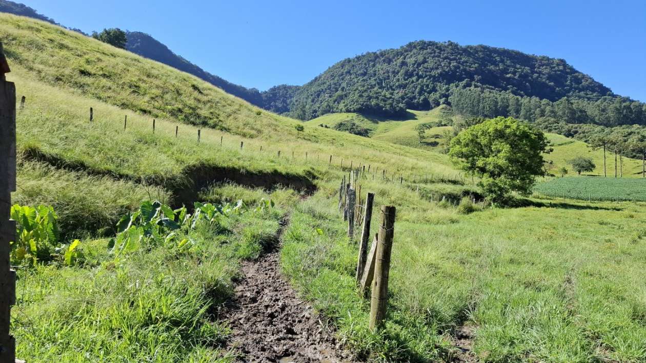 Fazenda, 16 hectares - Foto 26