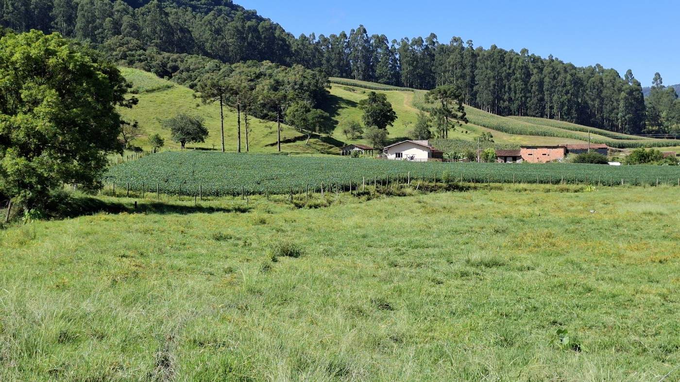 Fazenda, 16 hectares - Foto 27