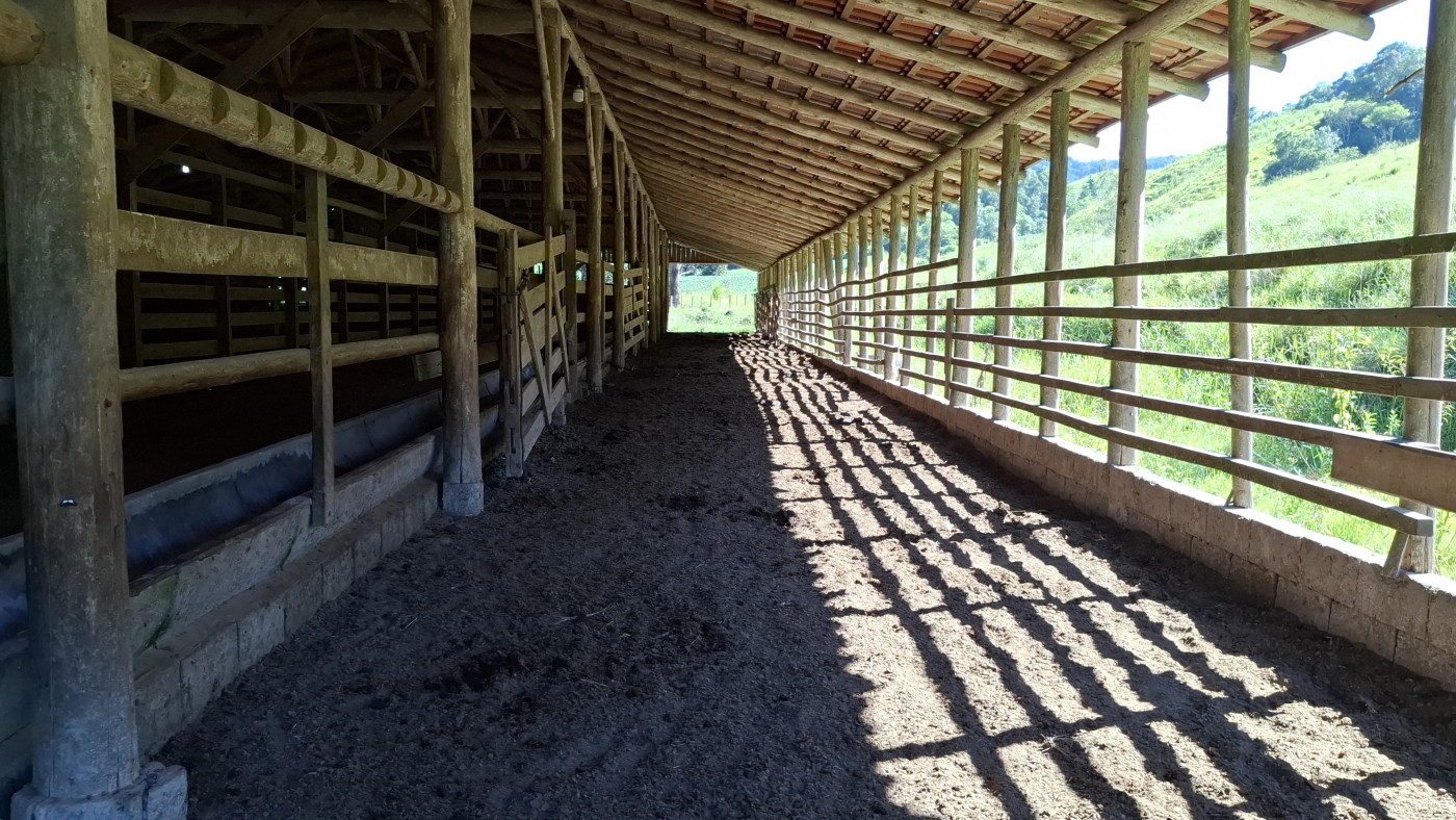 Fazenda, 16 hectares - Foto 11